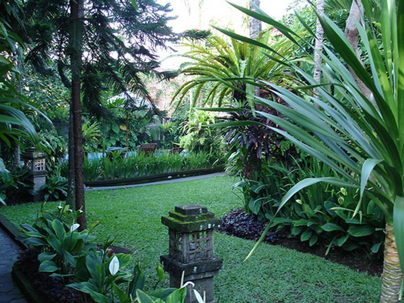 Adi Cottage Ubud Exteriör bild
